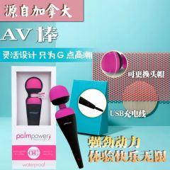 Palmpower av棒震动棒女用器具 按摩棒经典振动