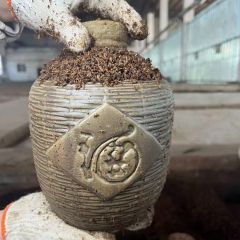 《酒糟埋藏酒》