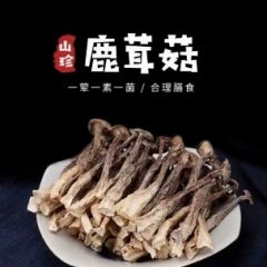 长白山头茬鹿茸菇