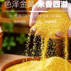 黄小米五谷杂粮小黄米新米东北农家粥