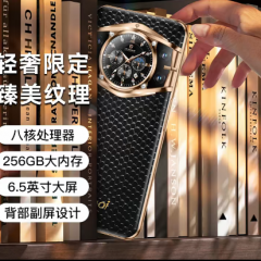 【官方正品】V16pro高端商务大内存256G全网通智能手机 黑色 黑色