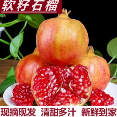 中秋礼盒精品突尼斯软籽石榴正宗会理起新鲜孕妇水果